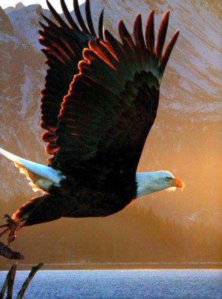 7040_10152260416731363_1997103422862361587_n